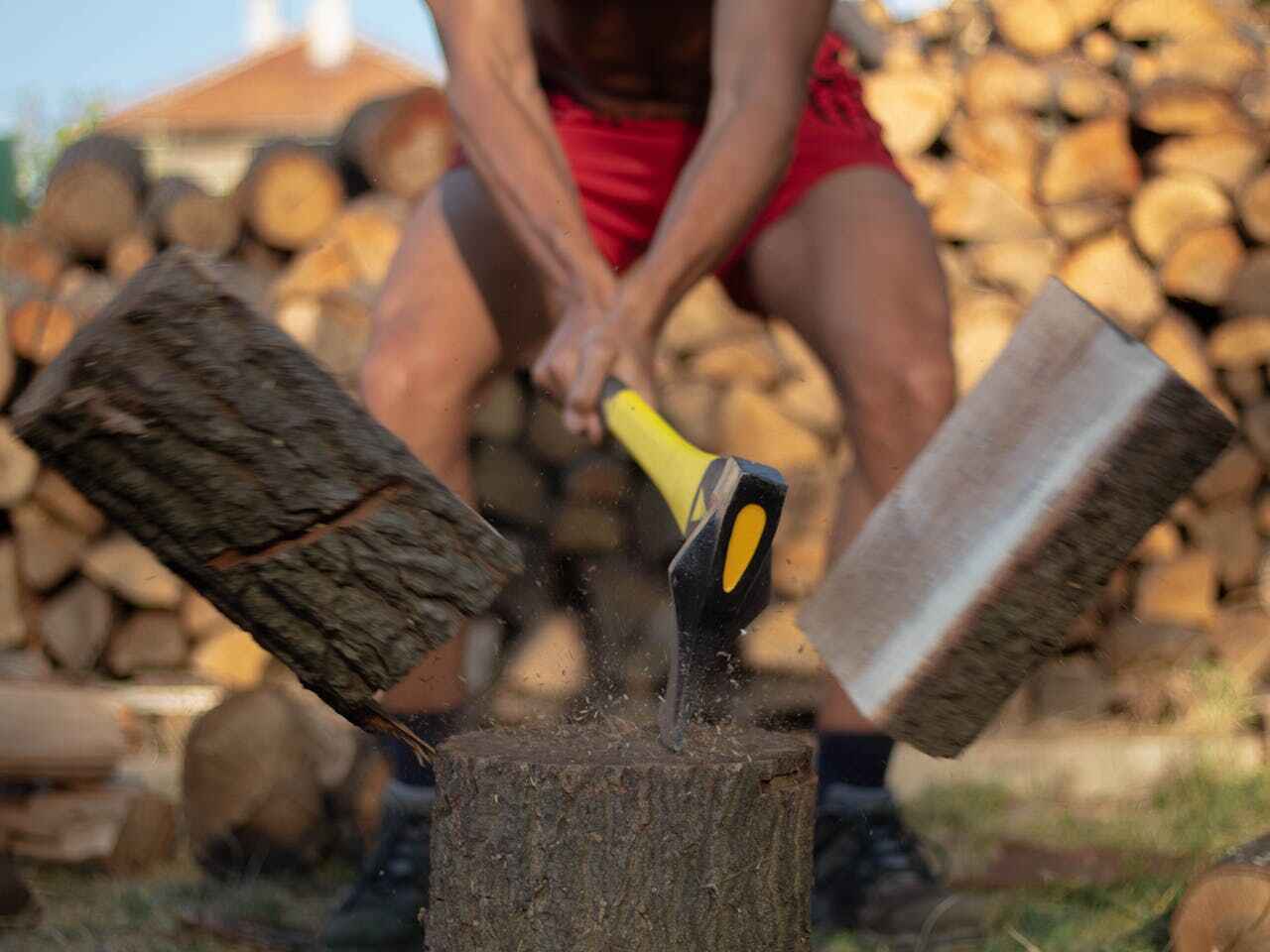 Best Tree Trimming Near Me  in Waseca, MN